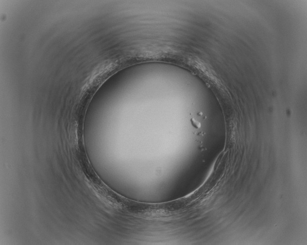 X0000076420685200610271708