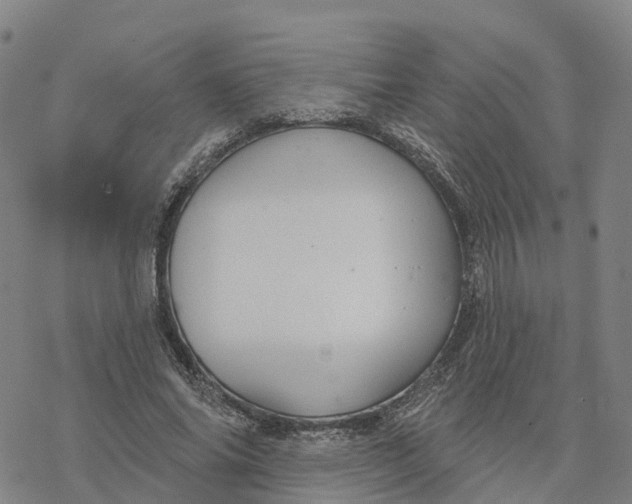 X0000076420686200610271708