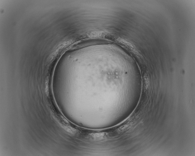 X0000076420687200610271708