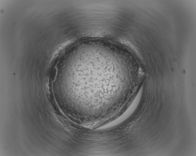 X0000076420688200610271708