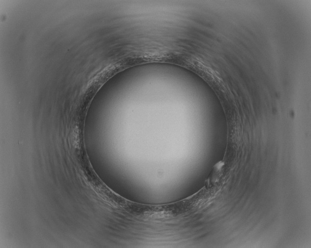 X0000076420689200610271708