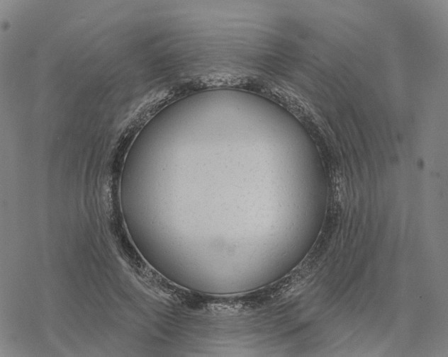 X0000076420690200610271708