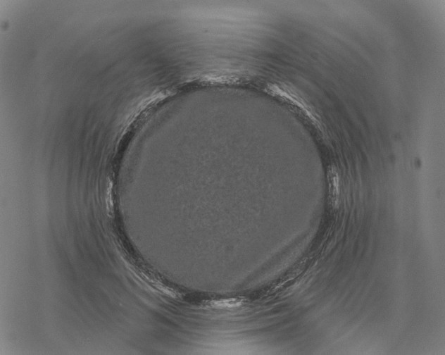 X0000076420692200610271708