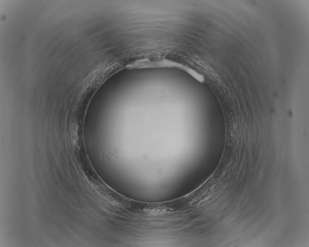 X0000076420693200610271708