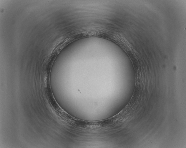 X0000076420694200610271708