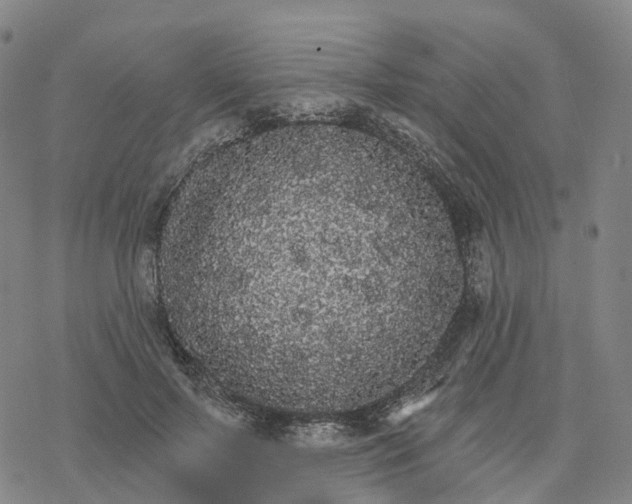 X0000076420695200610271708