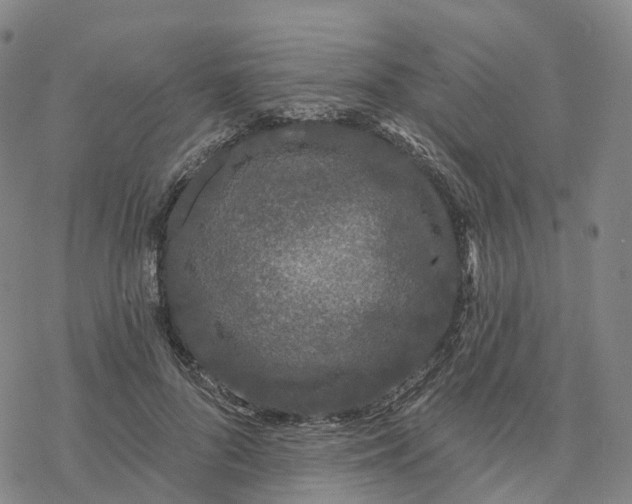 X0000076420696200610271708