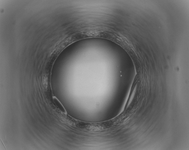 X0000076420697200610271708