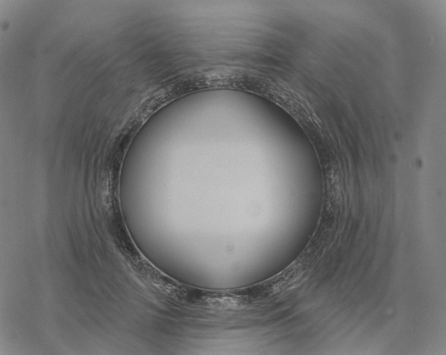 X0000076420698200610271708