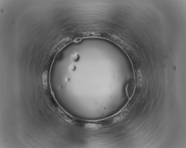 X0000076420699200610271708