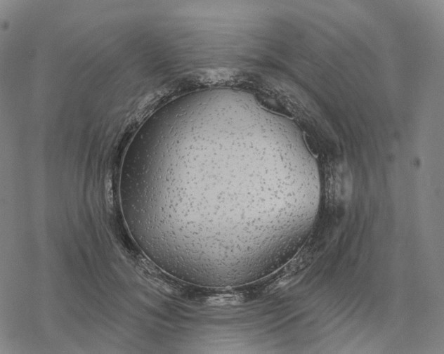 X0000076420700200610271708