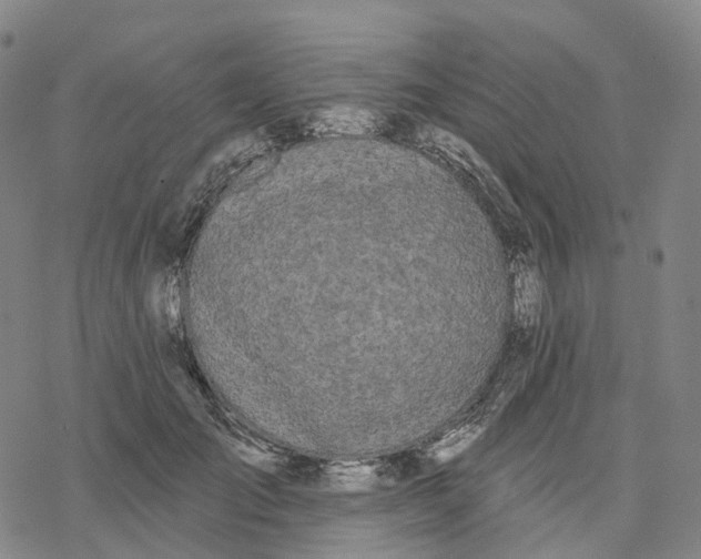 X0000076420701200610271708