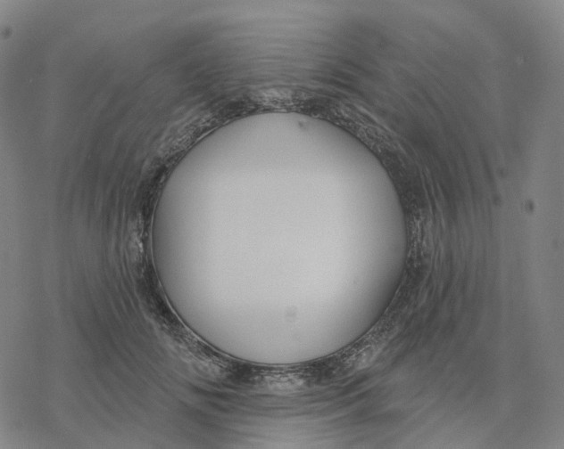 X0000076420702200610271708