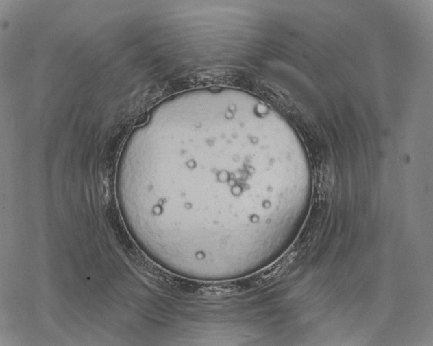 X0000076420703200610271708