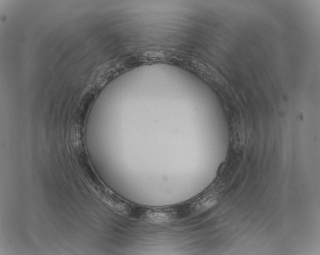 X0000076420706200610271708