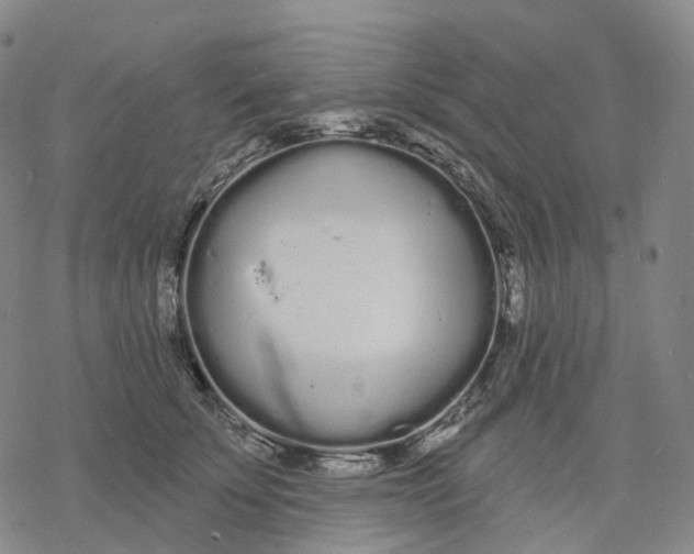 X0000076420707200610271708