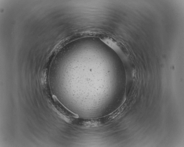 X0000076420708200610271708