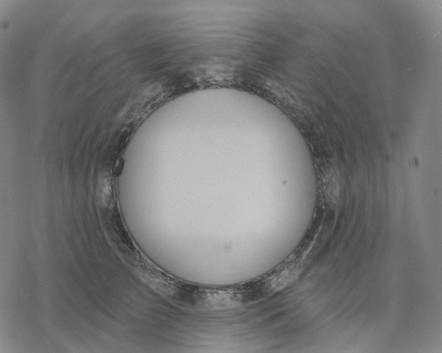 X0000076420709200610271708