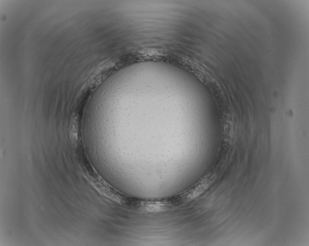 X0000076420710200610271708