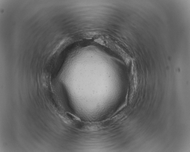 X0000076420712200610271708