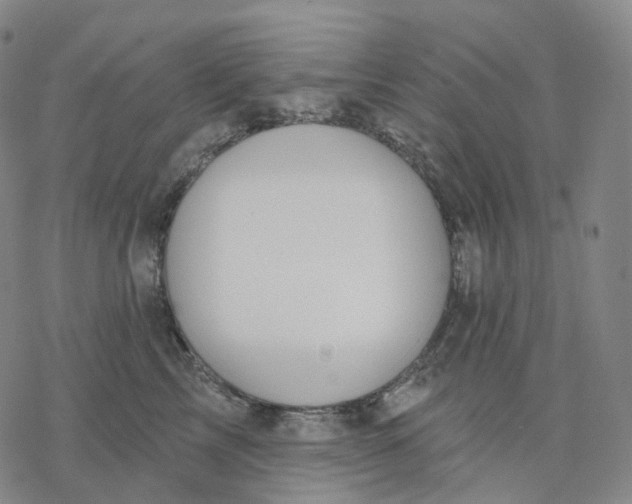 X0000076420713200610271708