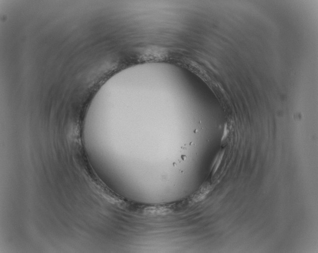 X0000076420714200610271708