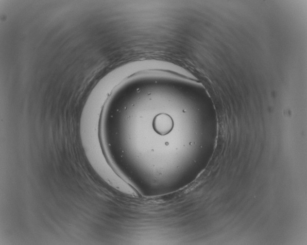 X0000076420716200610271708