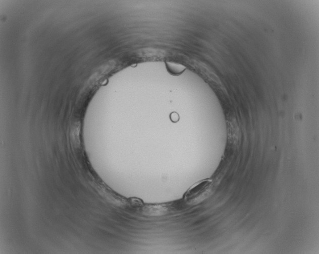 X0000076420717200610271708