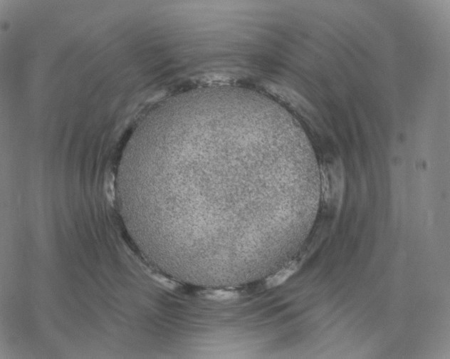 X0000076420718200610271708