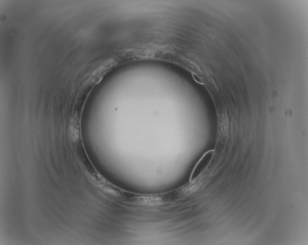 X0000076420719200610271708