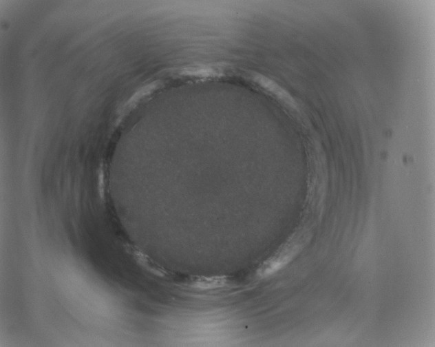 X0000076420720200610271708