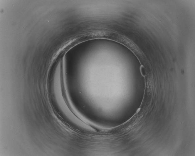 X0000076420722200610271707