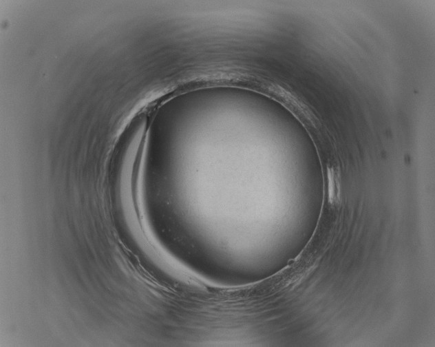 X0000076420723200610271707