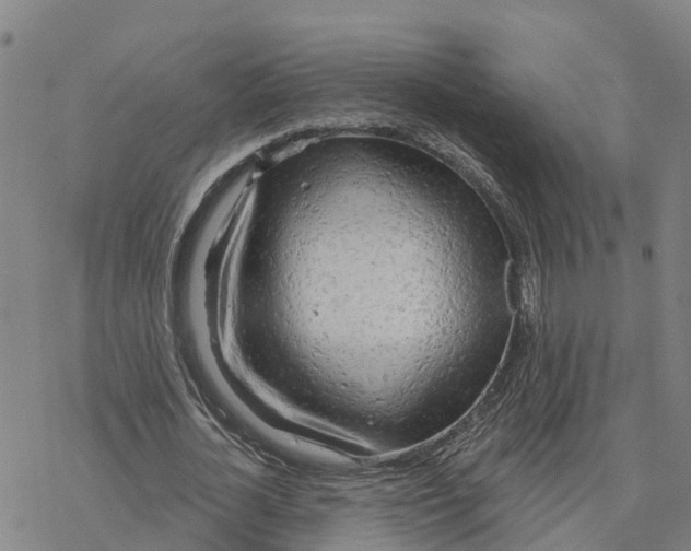 X0000076420724200610271707