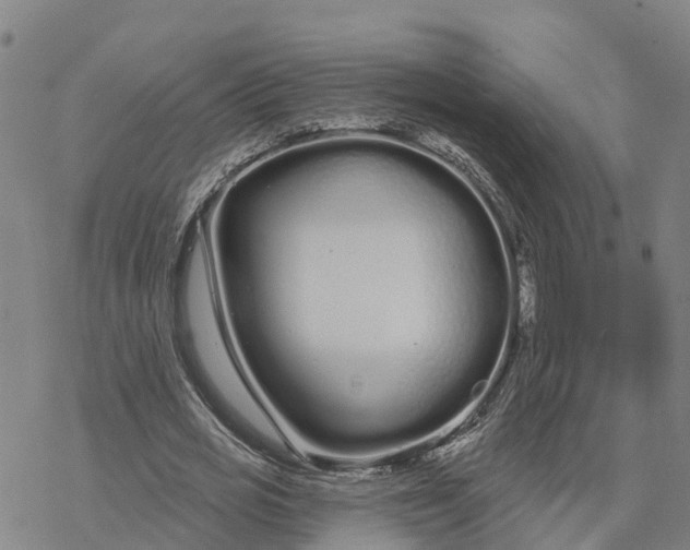 X0000076420725200610271707