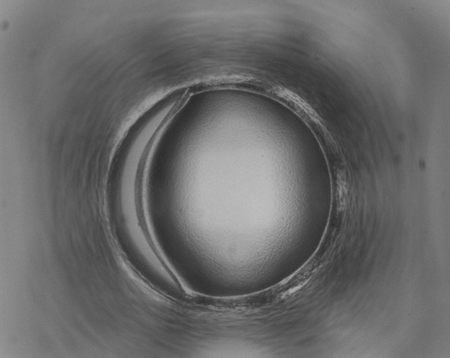 X0000076420726200610271707