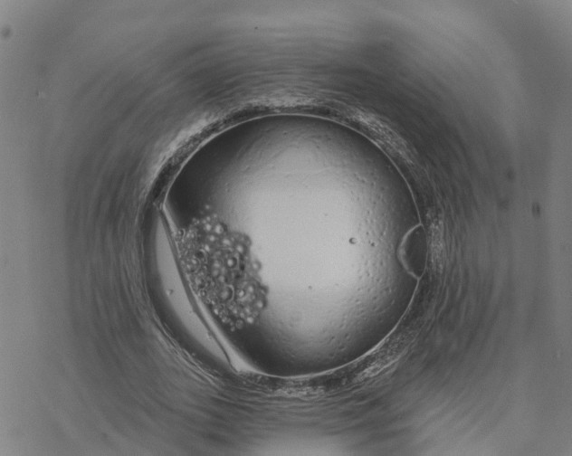 X0000076420727200610271707