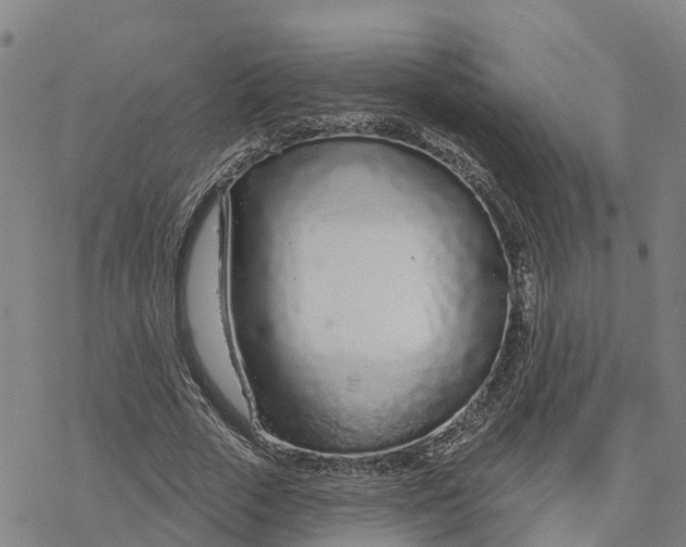 X0000076420729200610271707