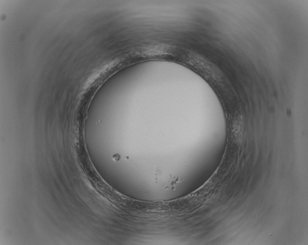 X0000076420732200610271707