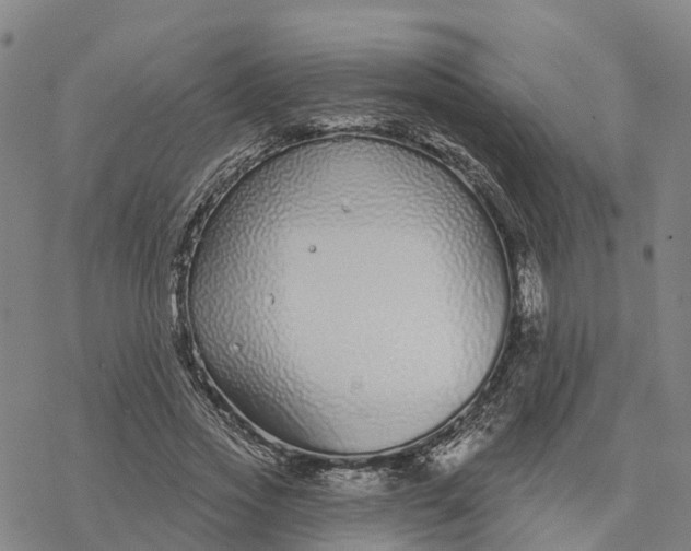 X0000076420733200610271707