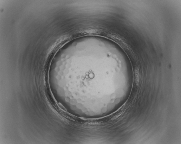 X0000076420734200610271707