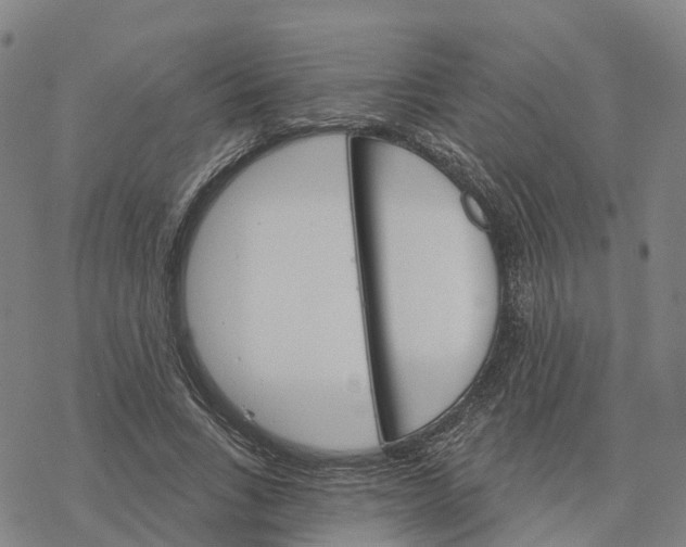 X0000076420735200610271707