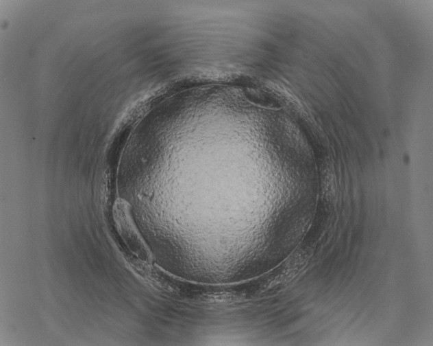 X0000076420736200610271707