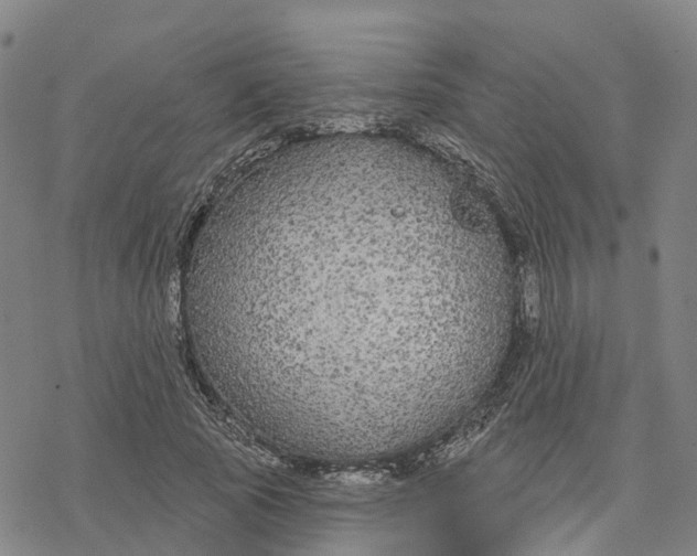 X0000076420737200610271707