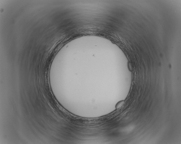 X0000076420739200610271707