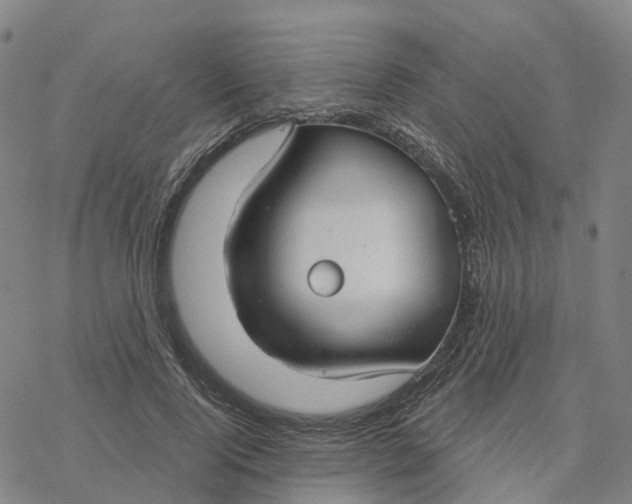 X0000076420740200610271707