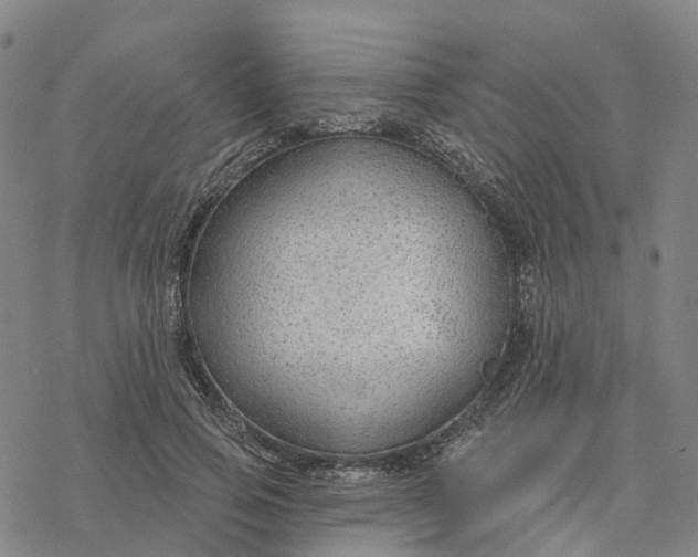 X0000076420741200610271707