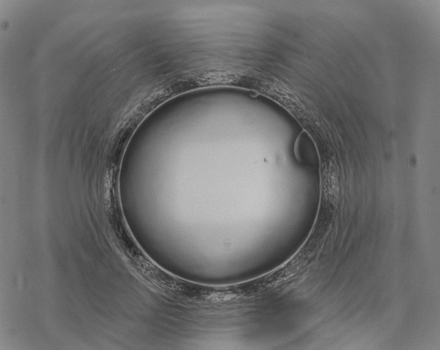 X0000076420742200610271707