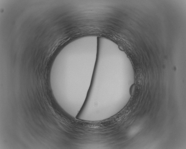 X0000076420743200610271707