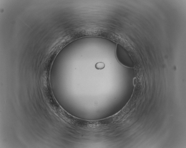 X0000076420744200610271707